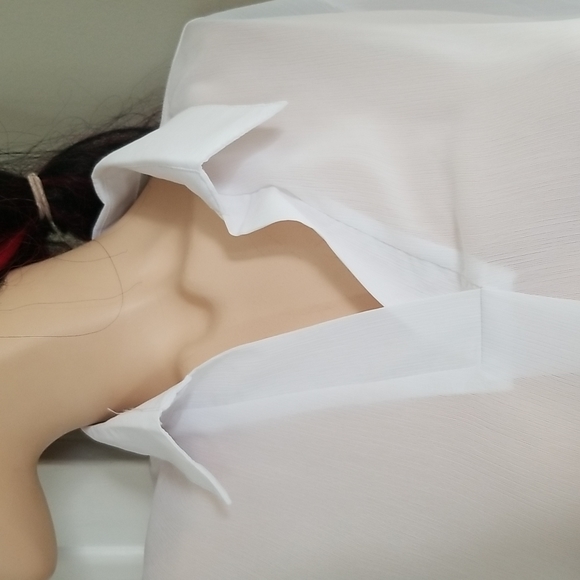Clean Lines Sheer Blouse - Picture 5 of 9